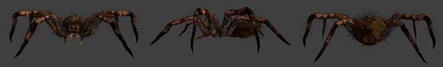 skin_spider.jpg